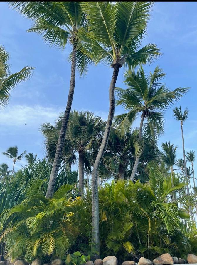 Yonah Comfort Punta Cana, Shared Apartment Dış mekan fotoğraf